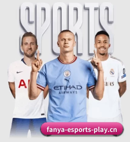 五个功能入口,赛程查询路径更短(fanyadianjing)
