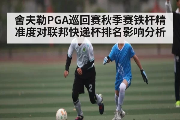 舍夫勒PGA巡回赛秋季赛铁杆精准度对联邦快递杯排名影响分析（fanyadianjing）
